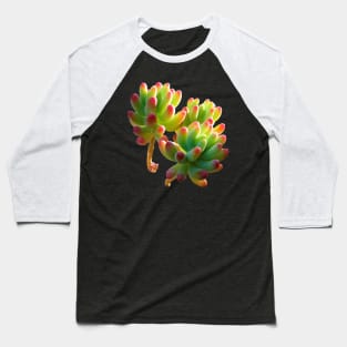 sedum pachyphyllum Baseball T-Shirt